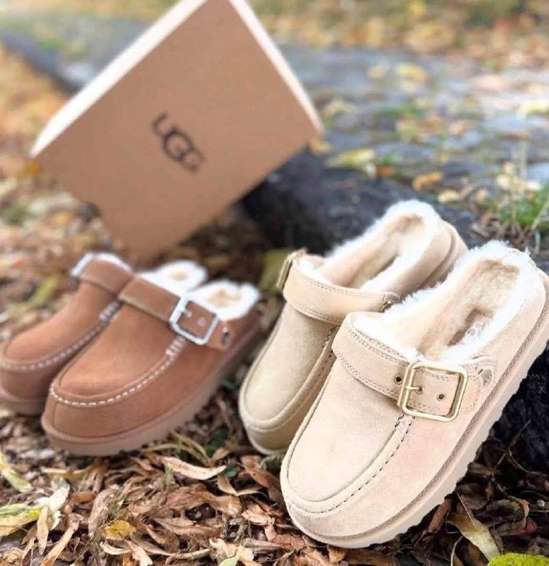 UGG Slippers