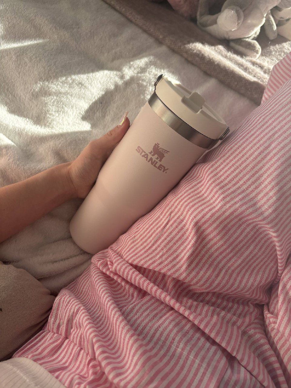 Stanley Insulated Water Bottle