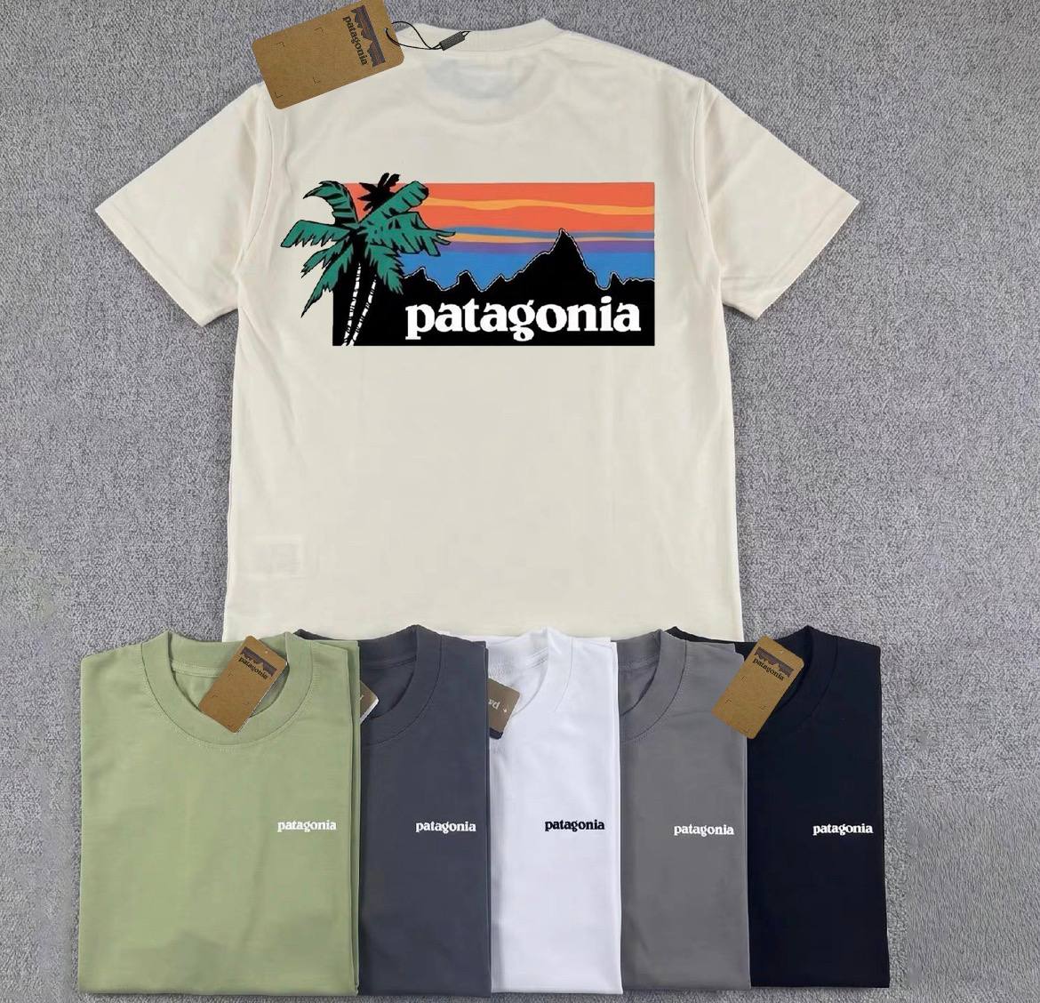 Patagonia Graphic T Shirt